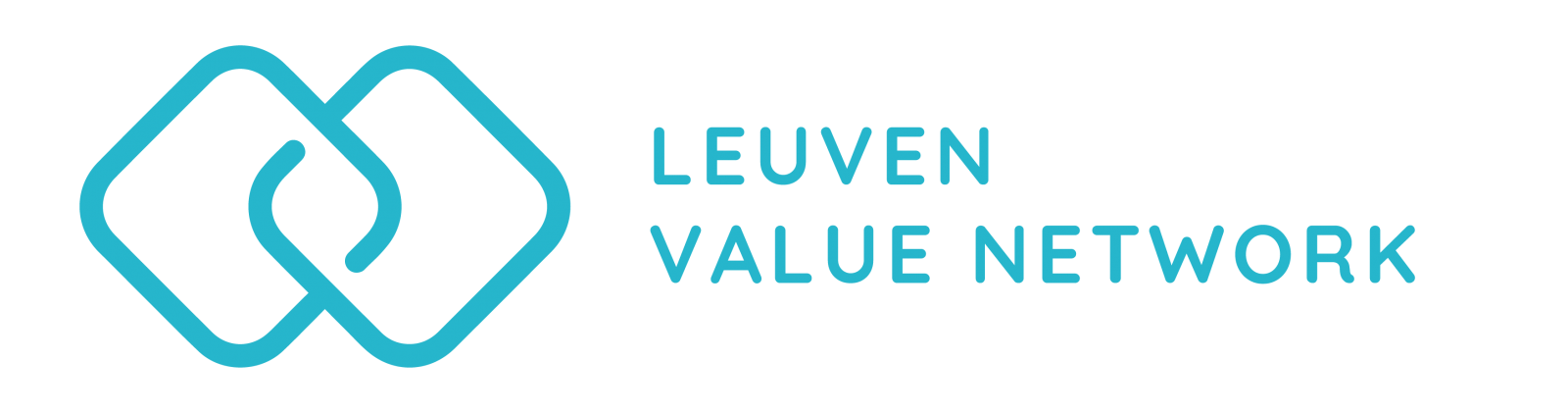 Leuven Value Network 